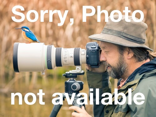 Kit Masters010019631X